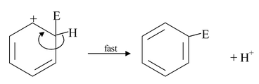 General Mechanism